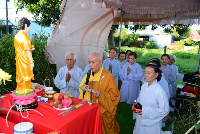 Liberating creatures at Binh My ferry and praying for peacefulness.