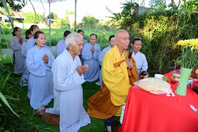 Liberating creatures at Binh My ferry and praying for peacefulness.