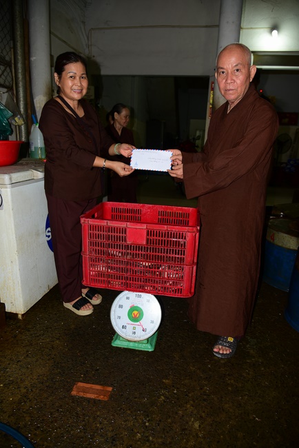 Liberating creatures at Binh My ferry and praying for peacefulness.