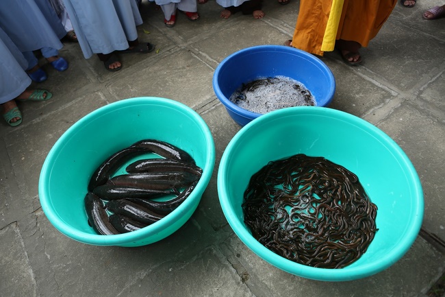 Khóa tu một ngày tại chùa Đống Cao