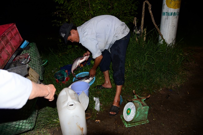 The ceremony of putting the Buddha statue and releasing creatures.