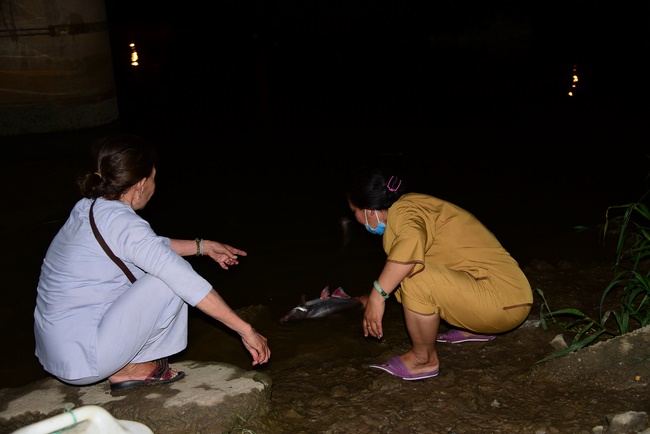The ceremony of putting the Buddha statue and releasing creatures.