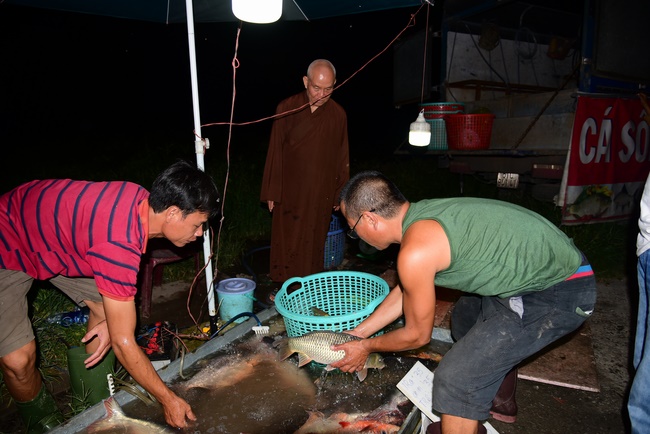 The ceremony of putting the Buddha statue and releasing creatures.