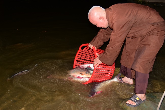 The ceremony of putting the Buddha statue and releasing creatures.