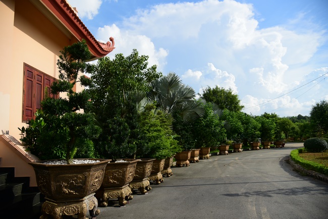 A tour to Vietnam Buddhist University