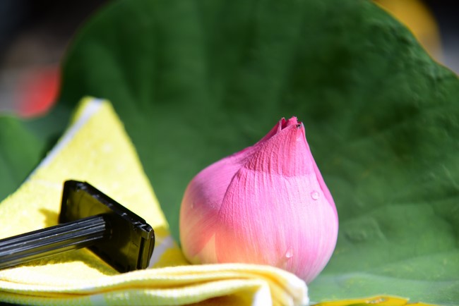 Starting the Temporary Ordination Retreat for Children