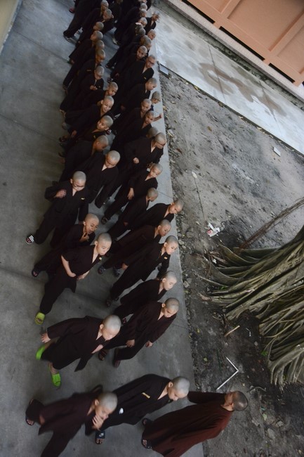 The 3rd Day of Temporary Ordination for Children