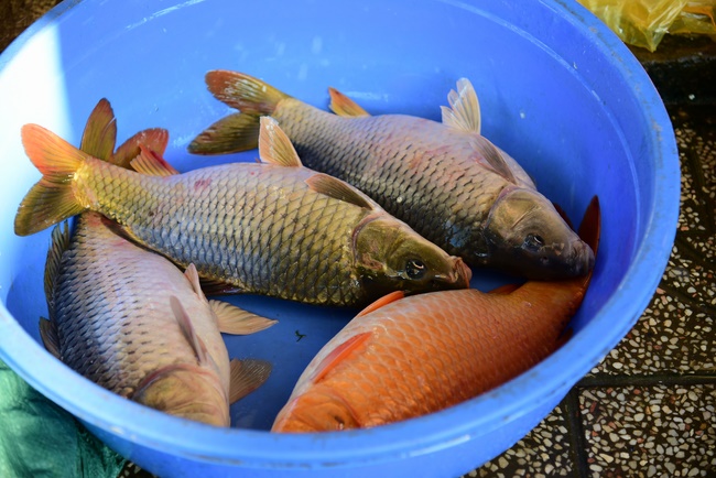 The beginning rite to sculpt the Buddha statue offering to Đang Phap Pagoda