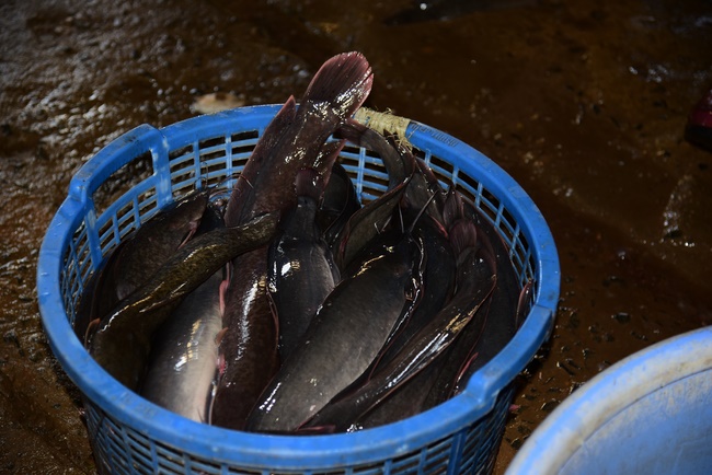 The beginning rite to sculpt the Buddha statue offering to Đang Phap Pagoda