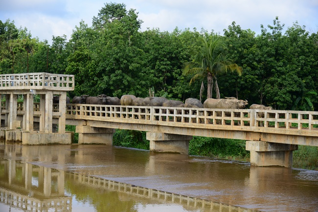 The beginning rite to sculpt the Buddha statue offering to Đang Phap Pagoda
