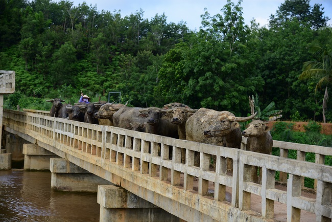 The beginning rite to sculpt the Buddha statue offering to Đang Phap Pagoda