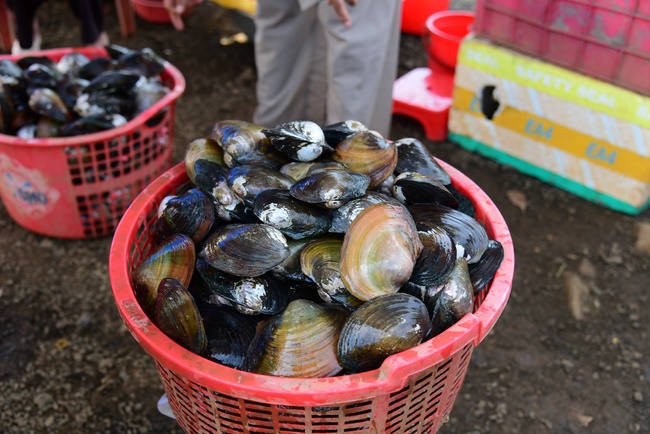 The beginning rite to sculpt the Buddha statue offering to Đang Phap Pagoda