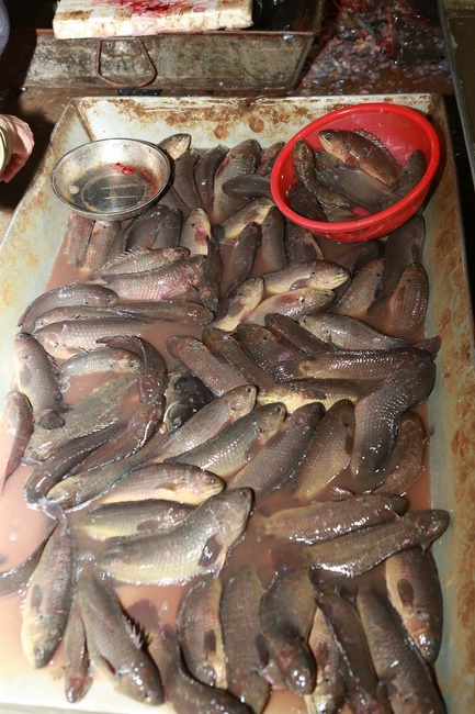 Charity of  Dong Cao pagoda