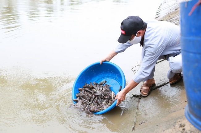 Charity of  Dong Cao pagoda