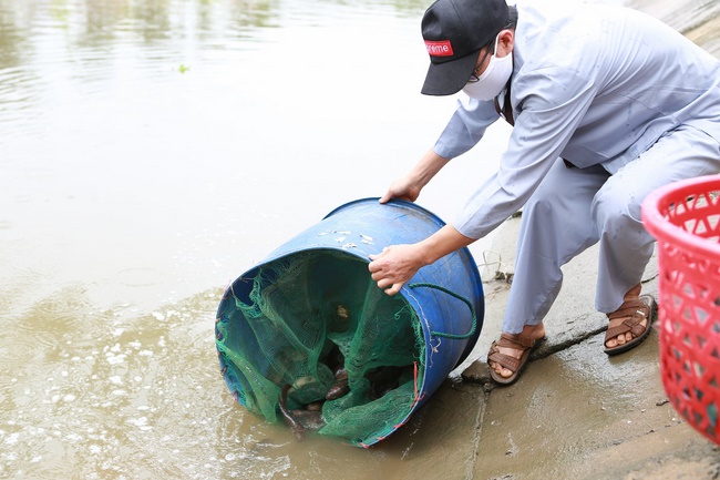 Charity of  Dong Cao pagoda