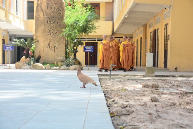 The 10th Dharma Talk Program: Confidences in the life of cultivation.