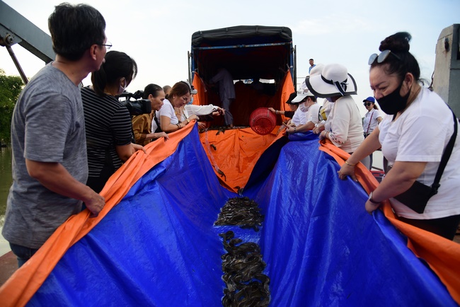 Freeing of creatures at Ca Lang ferry port in Cu Chi
