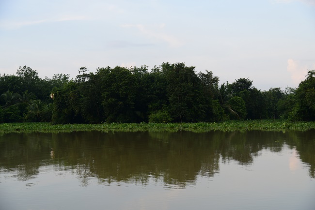 Freeing of creatures at Ca Lang ferry port in Cu Chi