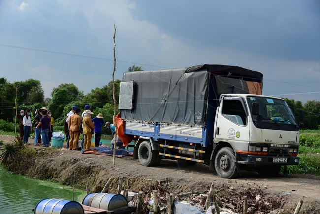 Freeing of creatures at Ca Lang ferry port in Cu Chi