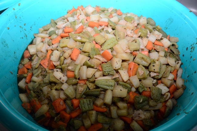 One  -  Day Practice