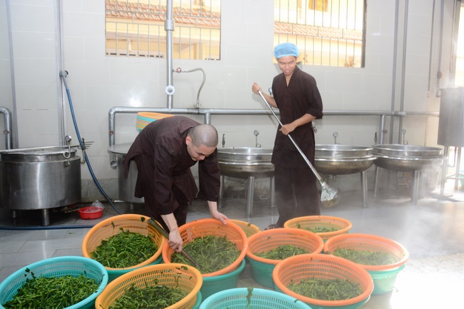 One  -  Day Practice