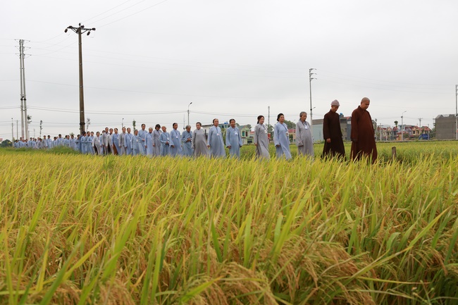 The 5th I have returned Retreat at Dong Cao Pagoda, Thanh Hoa