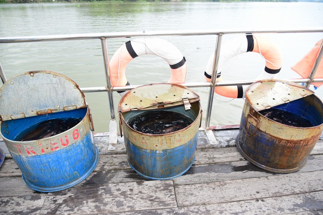 Freeing creatures at Ba Lua port in Cu Chi