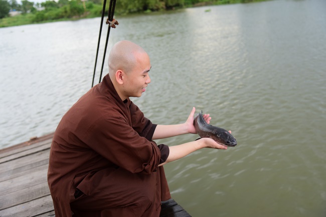 Freeing creatures at Ba Lua port in Cu Chi