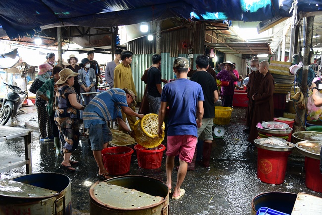 Freeing creatures at Ba Lua port in Cu Chi
