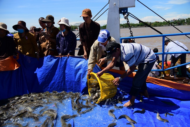 Freeing creatures on Co Bac ferry in Can Tho
