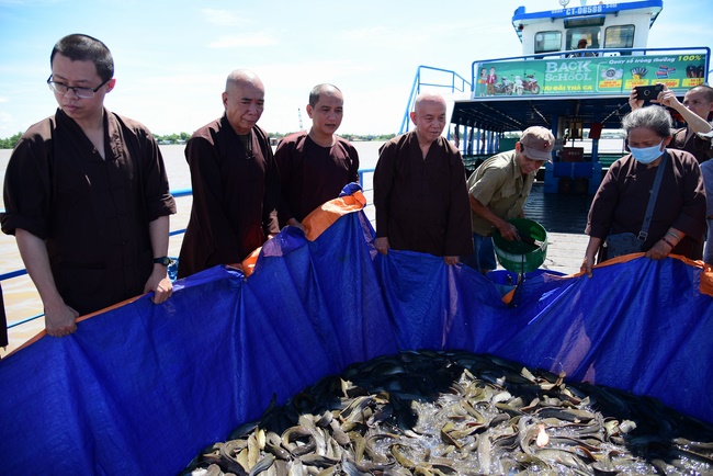 Freeing creatures on Co Bac ferry in Can Tho