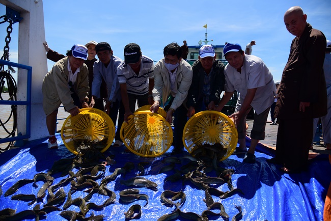 Freeing creatures on Co Bac ferry in Can Tho