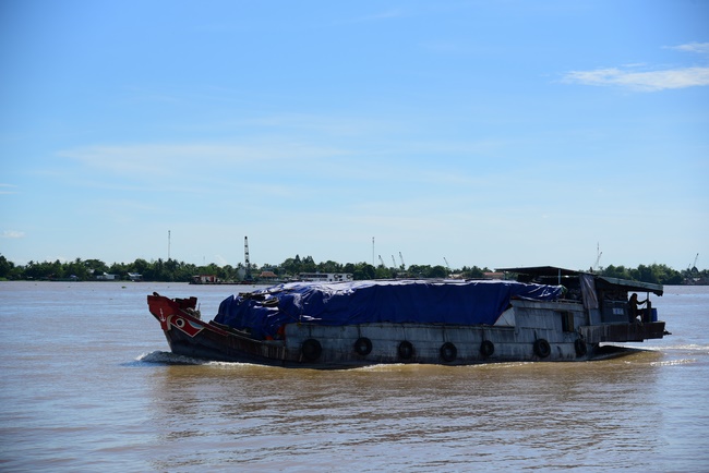 Freeing creatures on Co Bac ferry in Can Tho