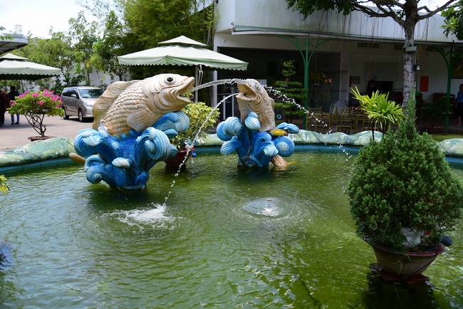 Freeing creatures on Co Bac ferry in Can Tho