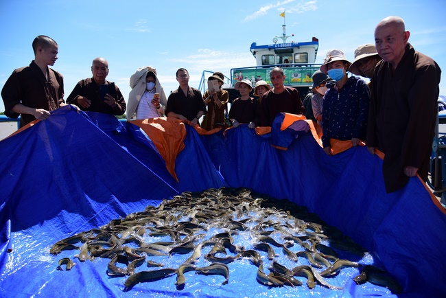 Freeing creatures on Co Bac ferry in Can Tho