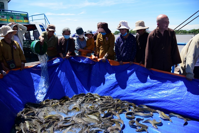 Freeing creatures on Co Bac ferry in Can Tho
