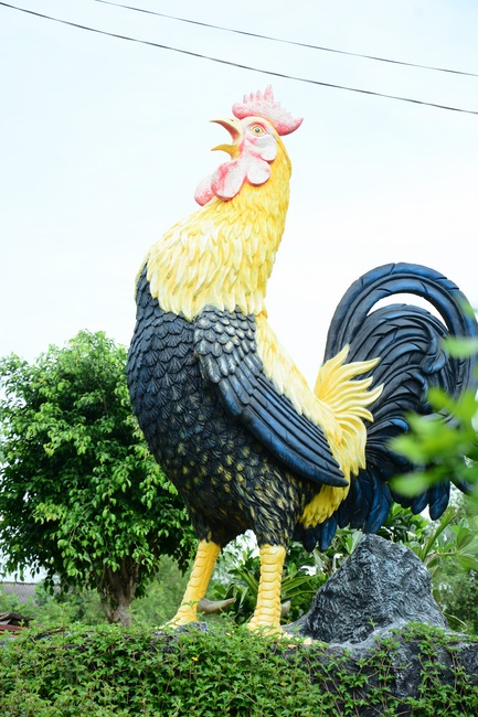 Offering gifts on Mid-Autumn Festival to Ben Tre and Tien Giang provinces