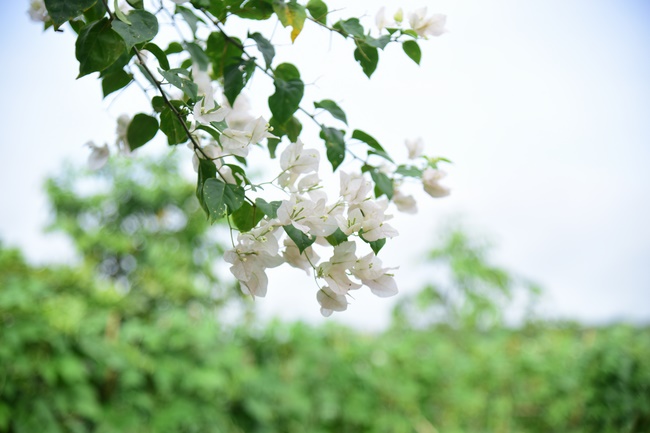Spreading the love on Mid-Autumn Festival in Tay Ninh