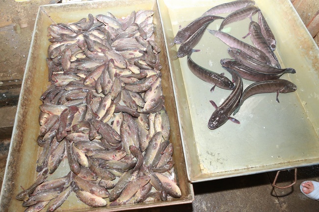 The Ullambana dharma assembly of filial piety  at Dong Cao Pagoda