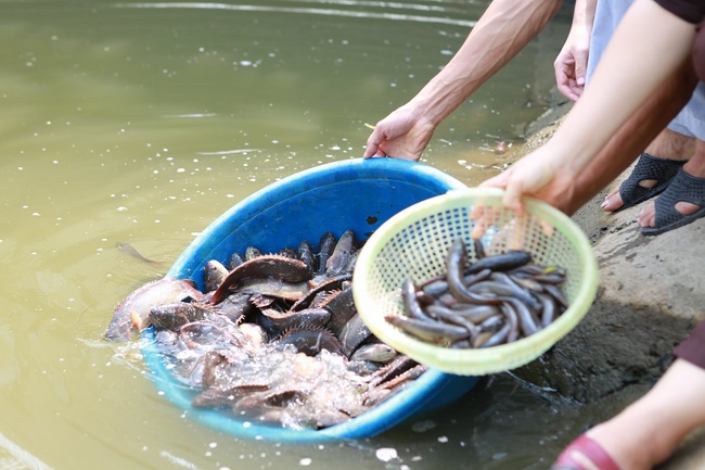 The Ullambana dharma assembly of filial piety  at Dong Cao Pagoda