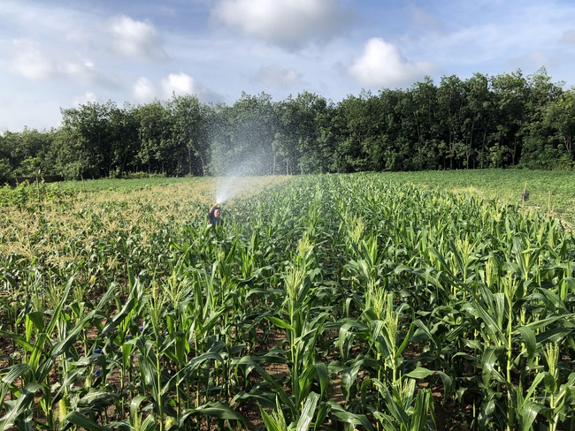 Ban Tôn giáo Tây Ninh viếng thăm chùa Suối Pháp