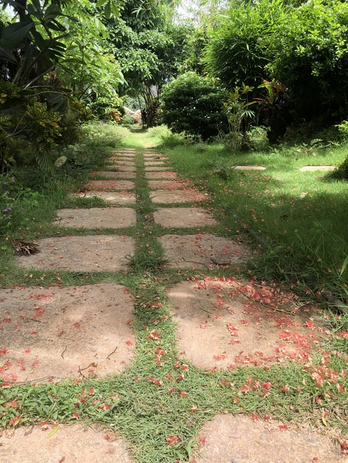 Ban Tôn giáo Tây Ninh viếng thăm chùa Suối Pháp