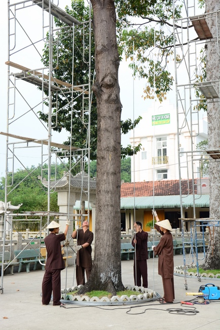 Series photos of activities preparing for the New Year 2021