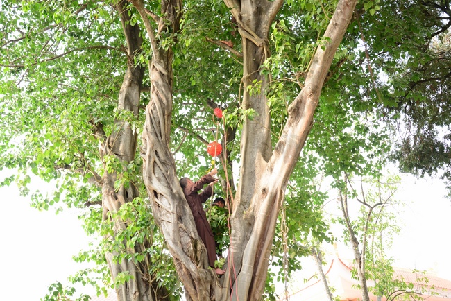 Series photos of activities preparing for the New Year 2021