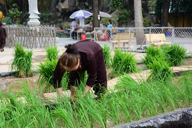 Series photos of activities preparing for the New Year 2021