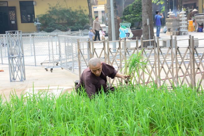 Series photos of activities preparing for the New Year 2021