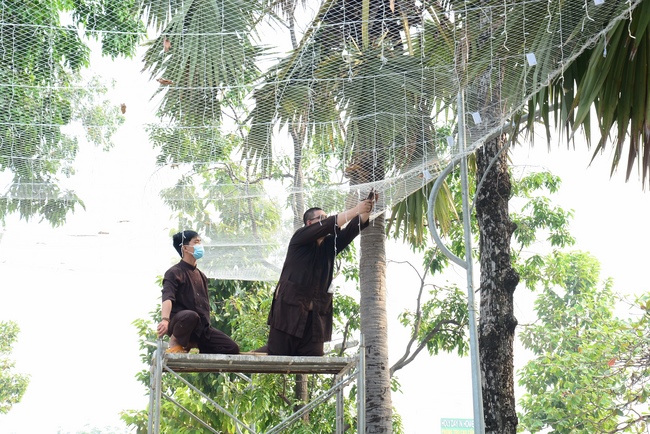 Series photos of activities preparing for the New Year 2021