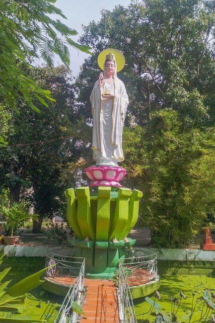 Quỹ Đào Tạo Tăng Tài Ngộ Chân Tử