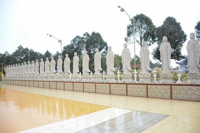 Quỹ Đào Tạo Tăng Tài Ngộ Chân Tử