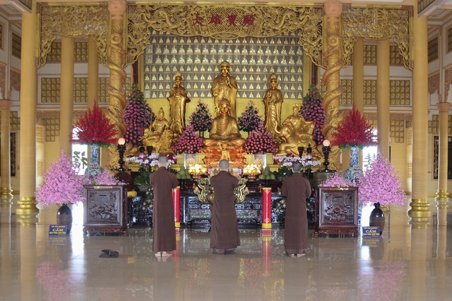 Quỹ Đào Tạo Tăng Tài Ngộ Chân Tử